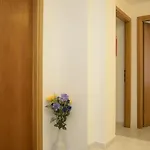 알 콜로세오 8 아파트 *